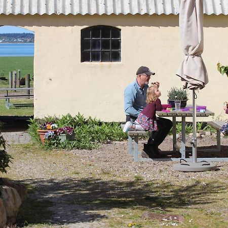 Stutteri Ahl Near Beach And Town Ebeltoft Esterno foto