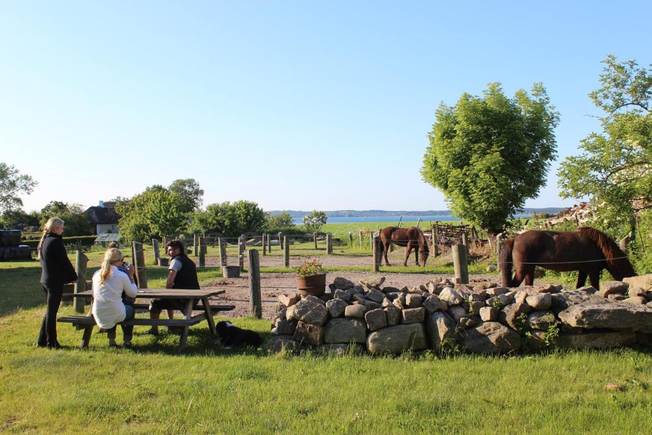Stutteri Ahl Near Beach And Town Ebeltoft Esterno foto